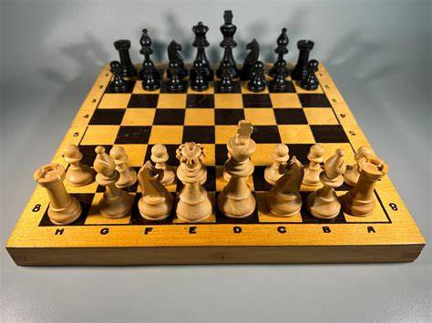 Sportininkas treniruojasi su medine treniravimo lenta