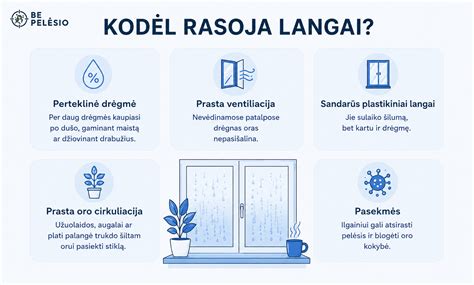 Infografika: rasojimo prevencija ir langų priežiūra
