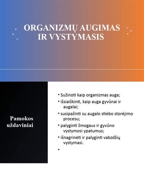 Infografika: Akmenės cemento istorinis vystymasis ir modernizacijos etapai