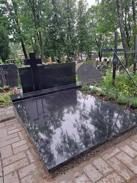 Kapavietės dengimo plokštė misijos vizualizacija