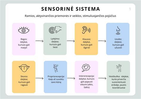 Infografika: klijų šalinimo priemonių paletė ir jų saugumas