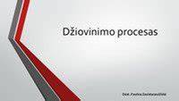 džiovinimo ir šlifavimo procesas