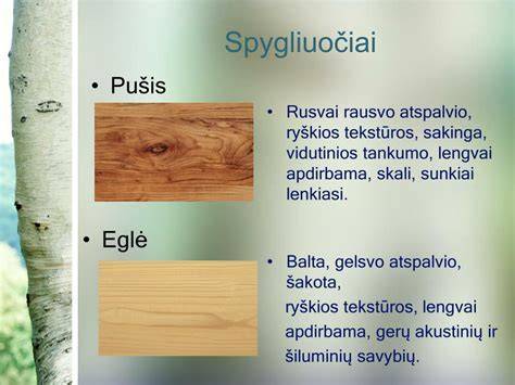 Obels medienos skiedros ir jų poveikis mėsos spalvai bei aromatui