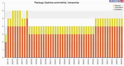 Infografika: paslaugų spektras ir geografija