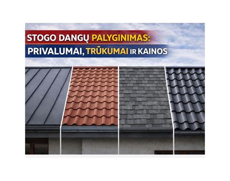 Infografika: dangų tipų palyginimas