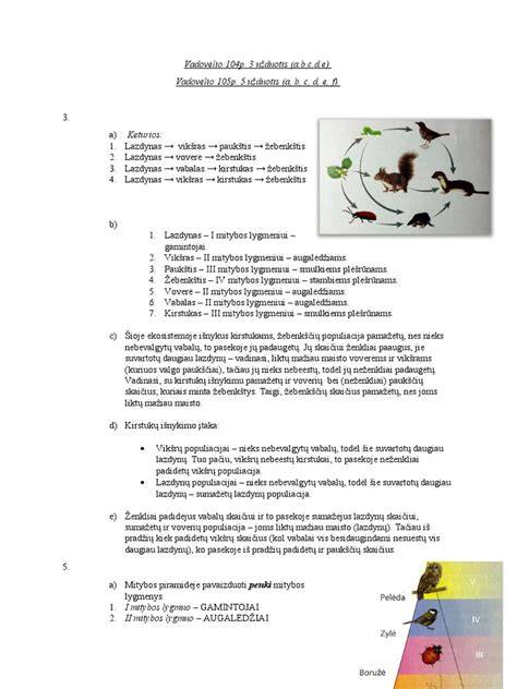 Infografika: Maisto žarnų struktūra ir migruojančių medžiagų srautas
