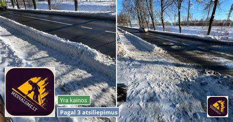Infografika: skirtingų fasado paviršių tipų įvertinimas ir rekomenduojami dažų tipai