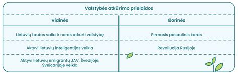 Skiriamųjų juostų įvairovė: išorinės vs vidinės, dvipusės vs vienpusės juostos