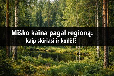 Infografika: durklų tipų declasifikacija pagal regioną ir laikotarpį