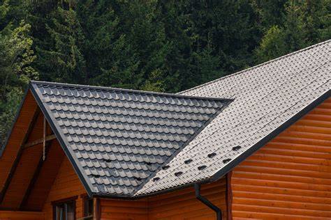Čerpinio profilio stogo vaizdas nuo toliau