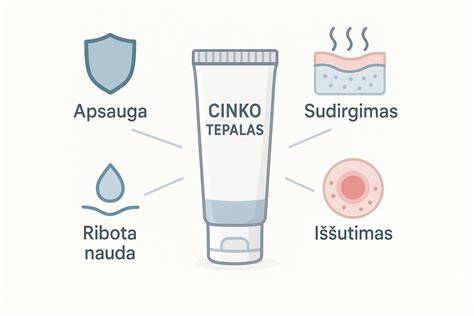 Padidinto aiškumo infografika apie cinko apsauginį sluoksnį ir vamzdžių konstrukciją