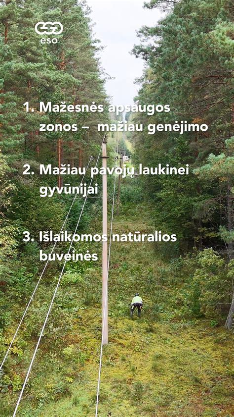 Šių metų įmonės gamybos linijų schemos