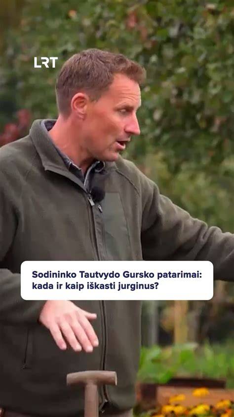 Infografika: kaip paruošti paviršių ilgam tvirtumui