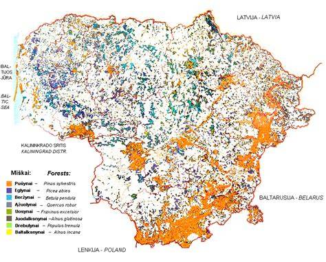 Miškų struktūros žemėlapis: spygliuočių augimas vs lapuočių dalis