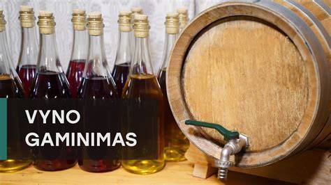 Gamybos ir montavimo ciklo schema