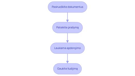 Vizualinė diagrama: paskyros ištrynimo proceso žingsniai