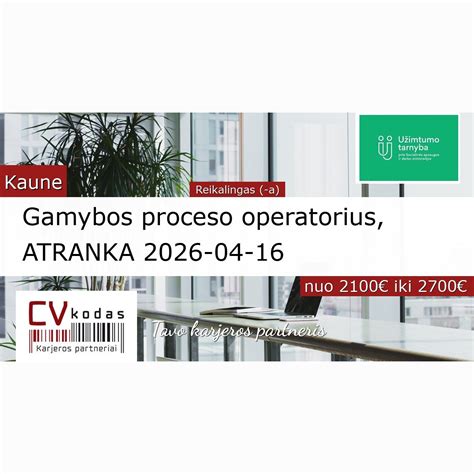 Gamybos proceso srautai: laminato klojimo etapų žemėlapis