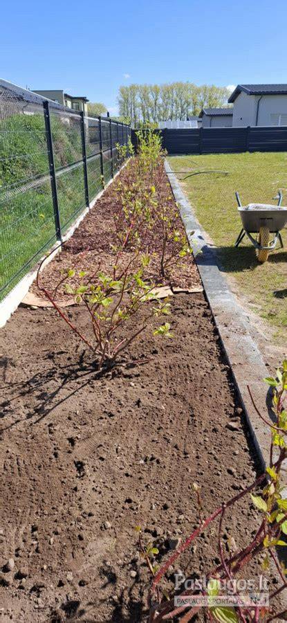 Piešiamas procesas: CE60 dengimas, formavimas ir priežiūra