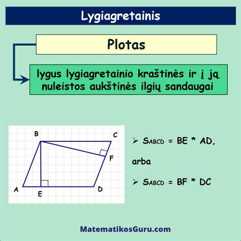 Infografika: Plokščiosios figūros pagrindiniai bruožai - kraštinės, kampai, perimetras, plotas