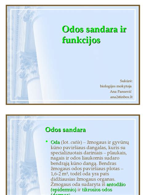 Infografika: Fasadinių aliuminių pastolių sandara ir funkcijos