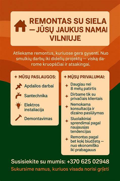 Meistrų patirtis ir paslaugos Vilniuje