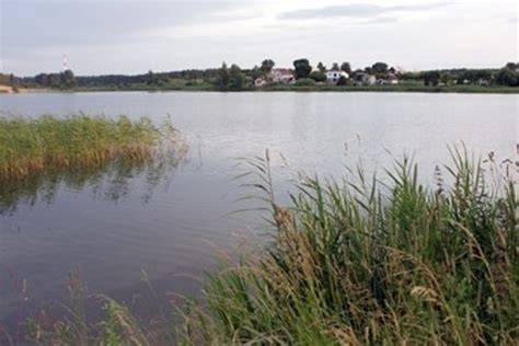 Gargždų karjero kraštovaizdžio nuotrauka: krantai, vandens telkinys, sala rytinėje dalyje