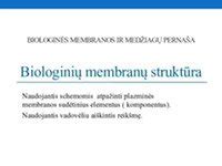 Teritorijos drenavimo membranos schema