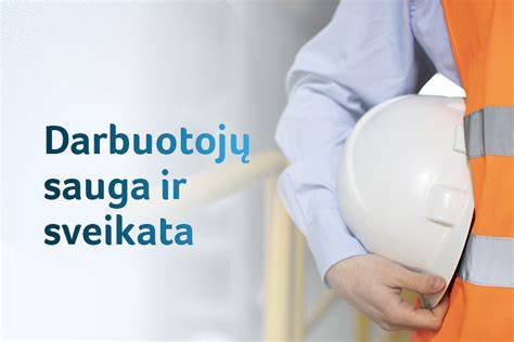 Infographic: Apdailos darbų technologija ir saugos priemonės