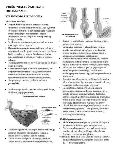 Infografika: Aliuminio šaltiniai žmogaus organizme ir saugaus suvartojimo gairės