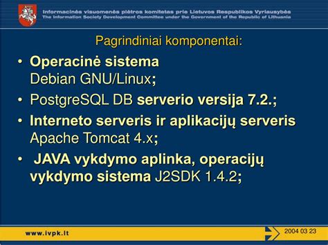 Infografika: lietvamzdžių sistema ir pagrindiniai komponentai