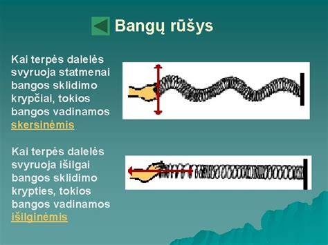 Baltijos banga vizualizacija: bangų profilis, skirtingos bangos schemos