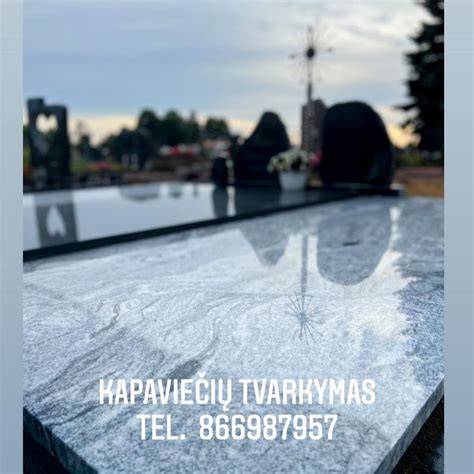 Kapaviečių plokščių projektų pavyzdžiai infografika