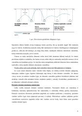 Infografika: Lauko laiptų šiltinimo principai (konstrukcijų sluoksniai, drenažas, apsauga nuo šalčio)