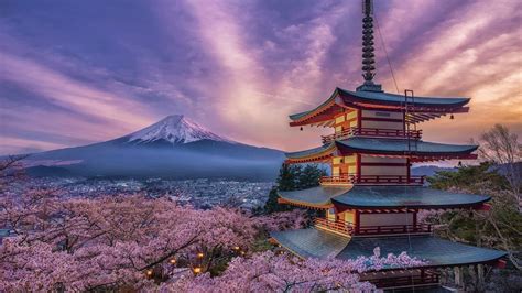 enka_image_sukibimo_palyginimas