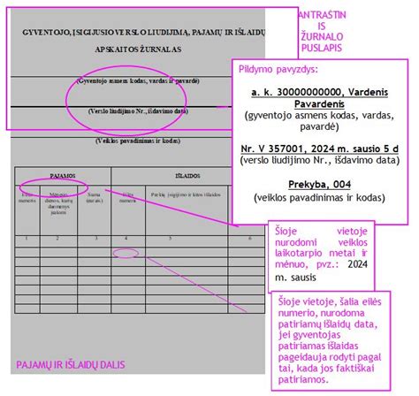 infografika: apskaitos žurnalo struktūra
