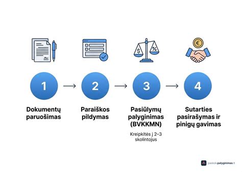 Infografika: procesas nuo paruošimo iki džiūvimo