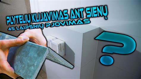 https://example.com/images/plyteliu-klijavimas-vonioje-infografika.jpg