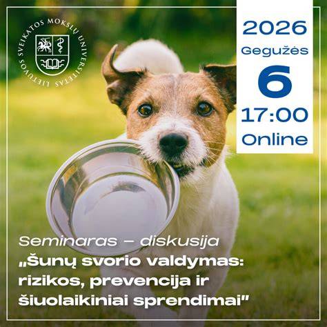 Mozaikinio betono istorija ir šiuolaikiniai sprendimai