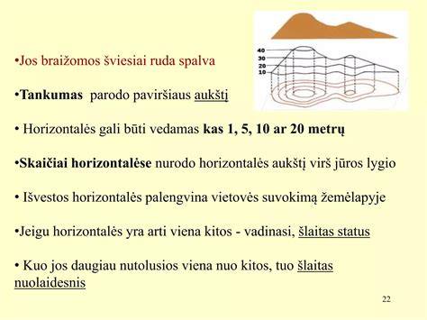 2.5 pav. Neuruliacija, somitogenezė ir vaskuliogenezė