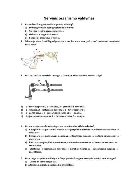 2.7 A pav. Nervinis vamzdis ir neuroporus
