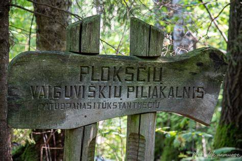 Vaiguviškių piliakalnis ir Vaiguvos upės slėnis