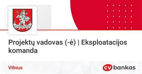Komanda darbo metu: projektų vadovas ir meistrai