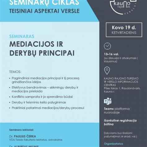 Infografika: perforatoriaus ir smūginio grąžto naudojimo principai