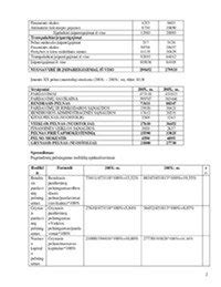 Infografika su finansinių rodiklių dinamika: pajamos, pelnas, pelningumo marža, nuosavas kapitalas, turtas