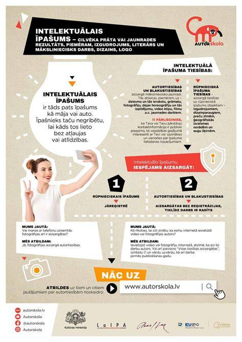 infografika apie antiseptikų ir impregnantų funkcijas