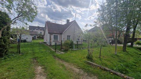 Rąstinių namų įrengimo procesas: nuo džiovinimo iki surinkimo