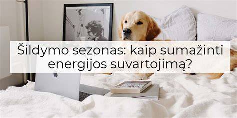 Infografika: U ir λ santykis, kaip įtakoja energijos suvartojimą