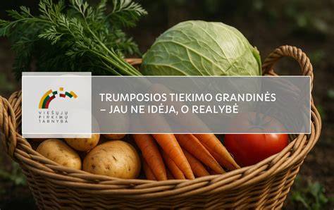 Infografika: pasaulinės žaliavų tiekimo grandinės ir sankcijų poveikis Lietuvai