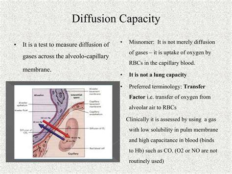 Chart: Sd values versus diffusion capacity