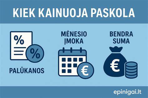 Infografika: Būsto paskolos sudedamosios dalys (paskolos suma, palūkanos, įmoka, įkeitimas, mokesčiai)